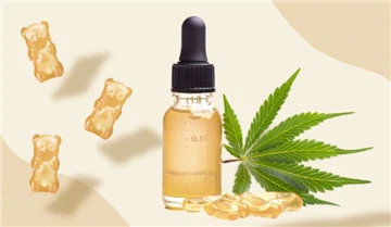 Развој ЦБД-а