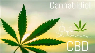 Употреба канабиса међу децом у САД порасла је за више од 240% од 2000. године...