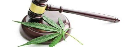 Тхе Дуст Сеттлес! Немачка легализује марихуану, ступа на снагу 1. априла